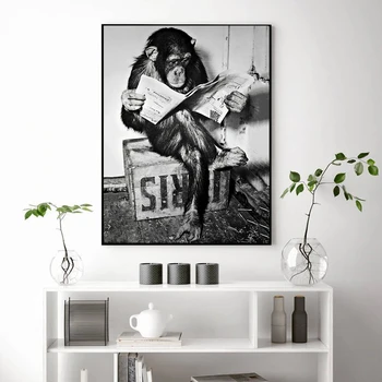 Wc Wc Dekoracijo Črno-Belo Art Slike Smešno Opica Poslovnih Plakatov In Fotografij Na Steni Branje Časopisa P
