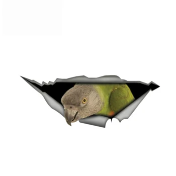Dawasaru Senegal Papiga Nalepke 3D Jjeza Grafični Vinil Nalepke Avto Okno Laptop Odbijača Ptica, Avto Nalepke,13 cm*5 cm