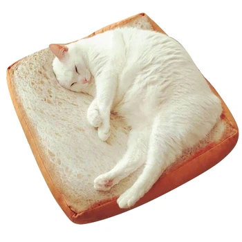 Microblogging z odstavka srčkan resničnem življenju, toast, kruh, rezine blazine, mačka poseben kruh-tip blazine risanka okoli